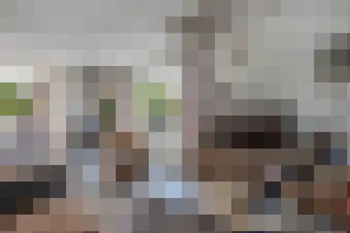 De Foreest 3 Drachten thumbnail 18