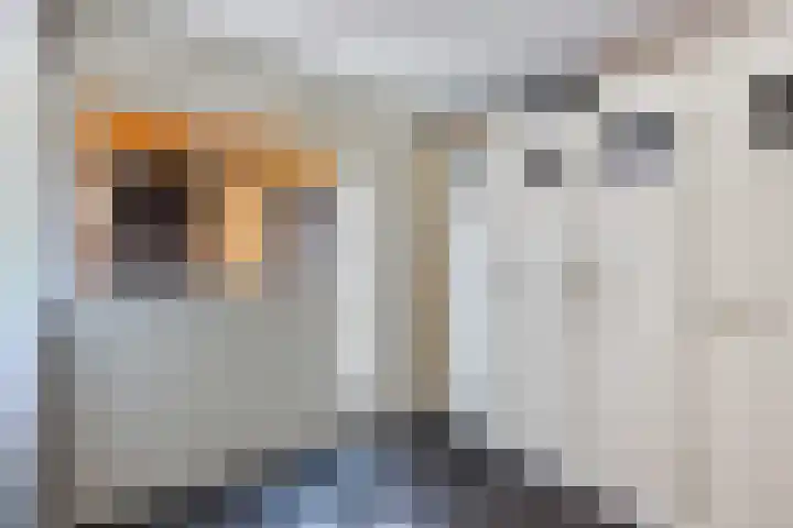 De Foreest 3 Drachten thumbnail 29