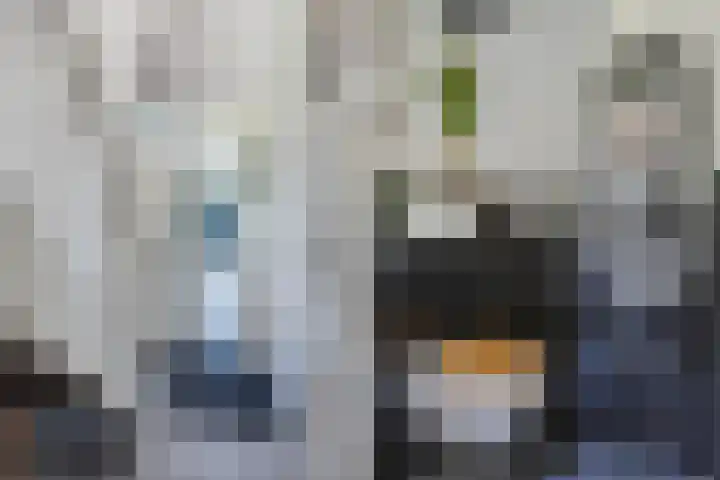 De Foreest 3 Drachten thumbnail 30