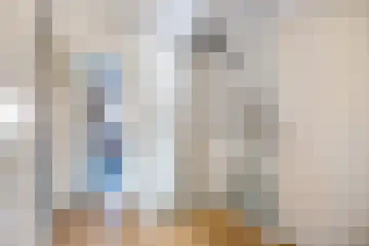 De Foreest 3 Drachten thumbnail 32