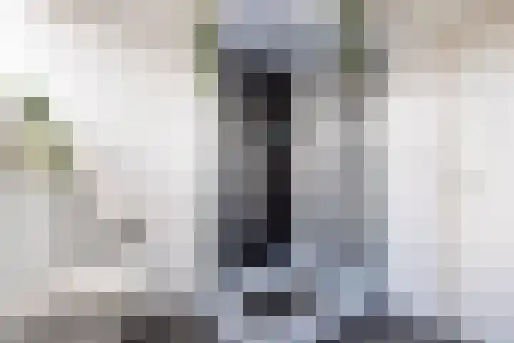 De Foreest 3 Drachten thumbnail 37