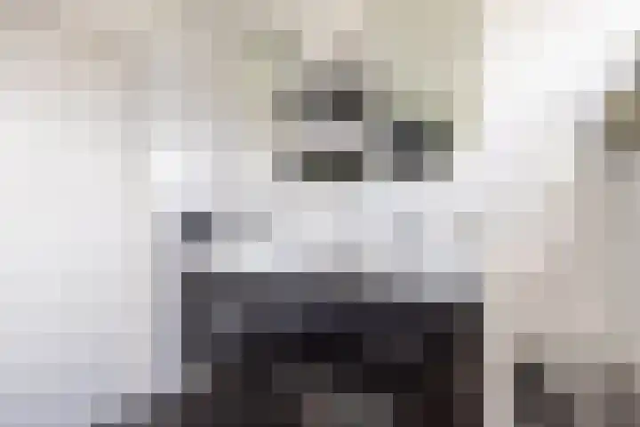 De Foreest 3 Drachten thumbnail 38