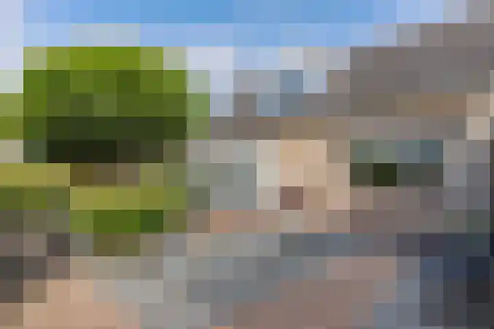 De Foreest 3 Drachten thumbnail 4