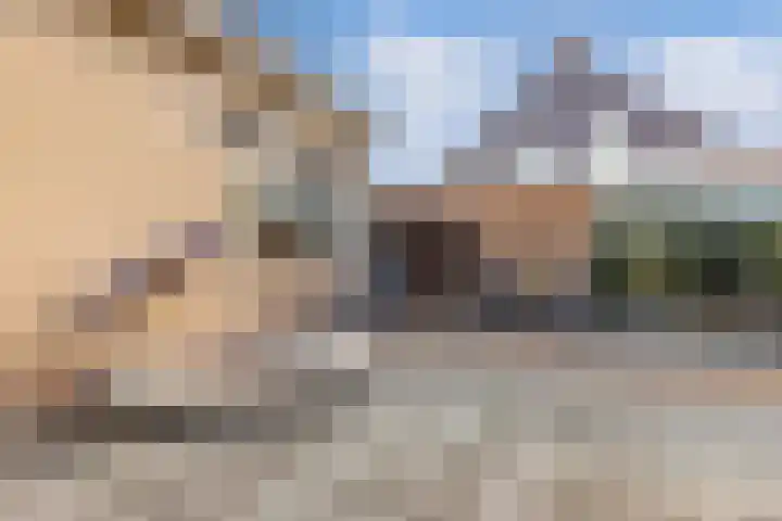 De Foreest 3 Drachten thumbnail 43