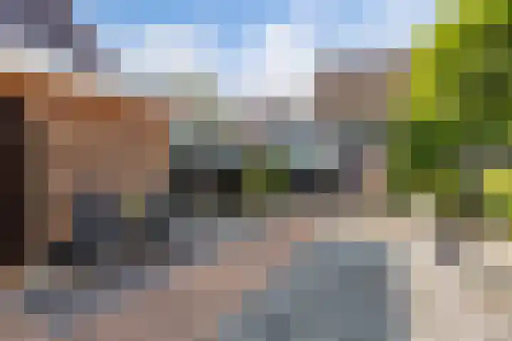 De Foreest 3 Drachten thumbnail 49