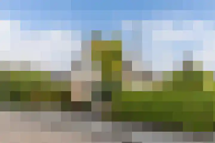 De Foreest 3 Drachten thumbnail 5