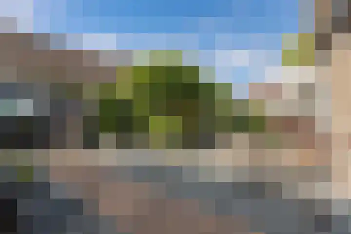 De Foreest 3 Drachten thumbnail 50