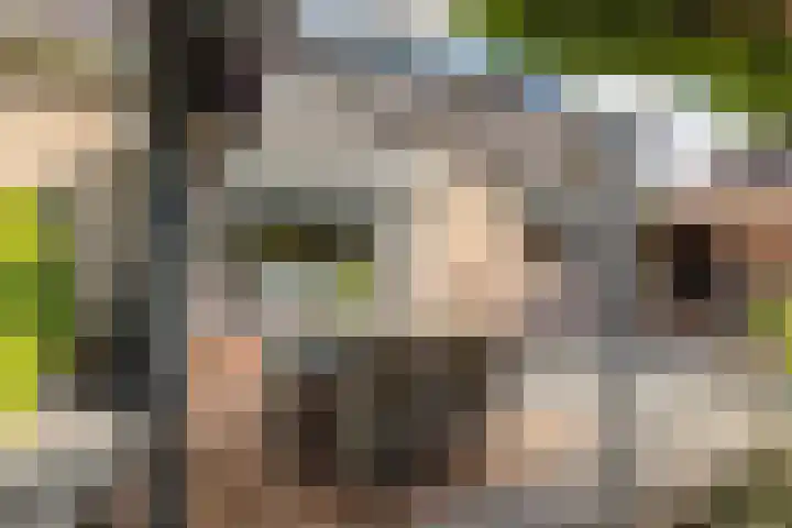 De Foreest 3 Drachten thumbnail 52