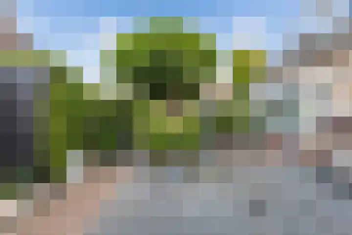 De Foreest 3 Drachten thumbnail 53