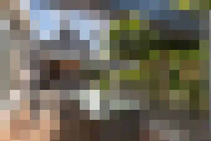 De Foreest 3 Drachten thumbnail 54