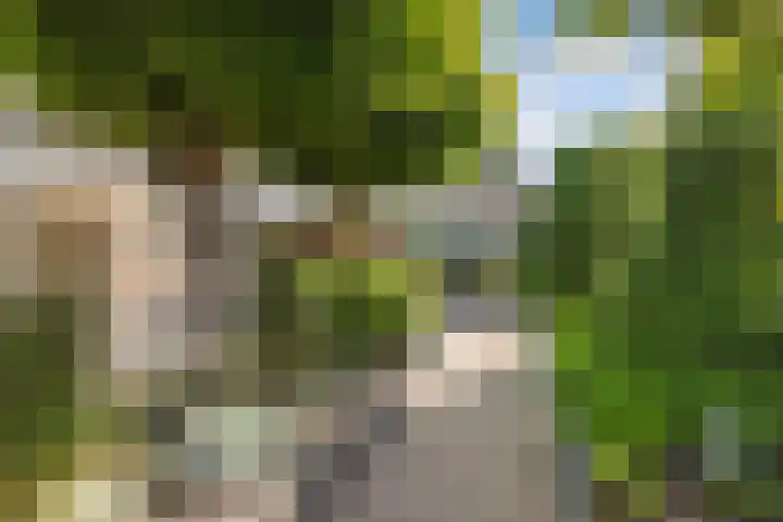 De Foreest 3 Drachten thumbnail 55