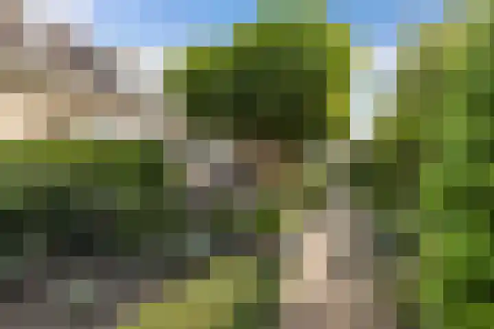 De Foreest 3 Drachten thumbnail 56