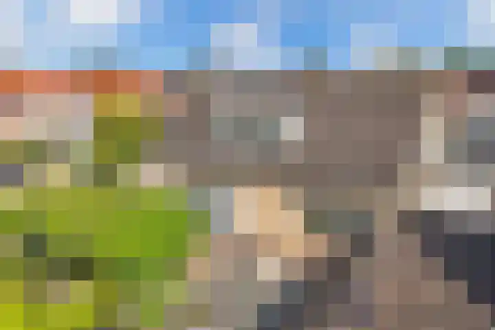 De Foreest 3 Drachten thumbnail 57