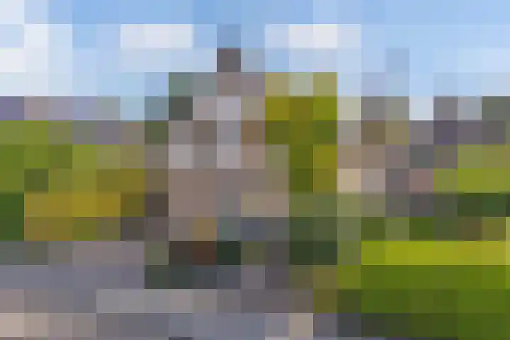 De Foreest 3 Drachten thumbnail 58