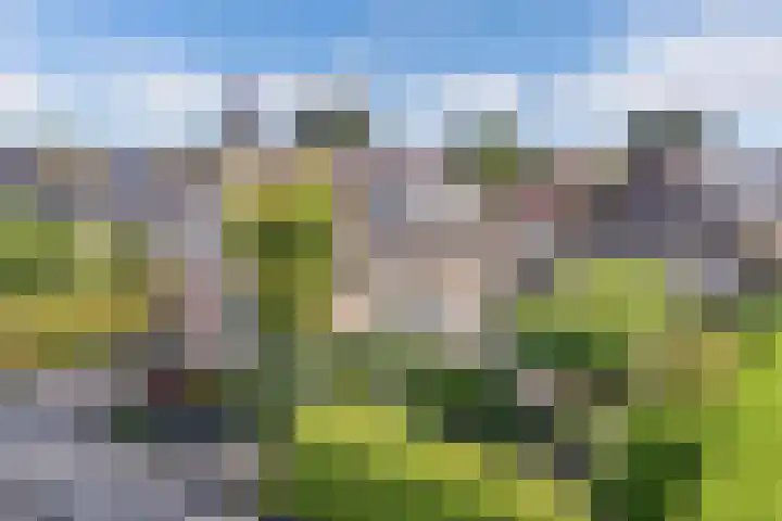 De Foreest 3 Drachten thumbnail 59