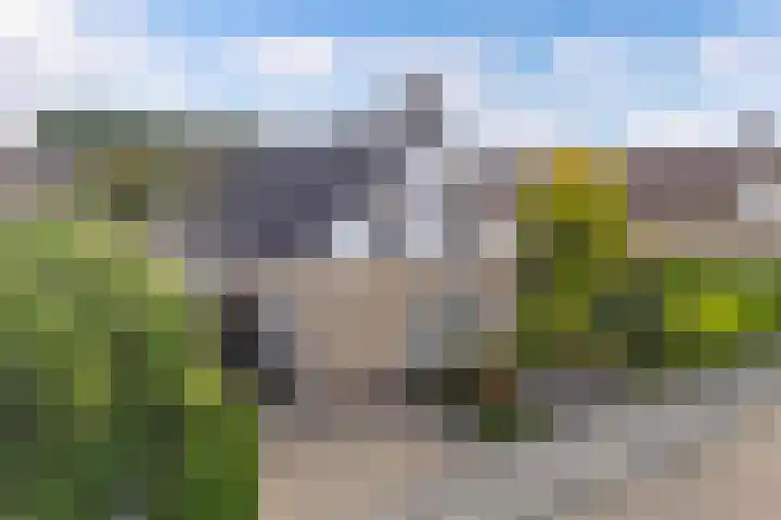 De Foreest 3 Drachten thumbnail 6