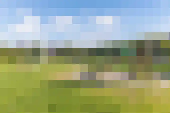 De Foreest 3 Drachten thumbnail 61