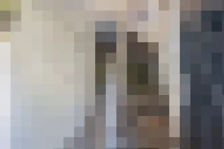 De Foreest 3 Drachten thumbnail 8