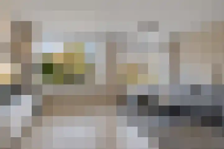 De Fortuin 2 Harlingen thumbnail 17