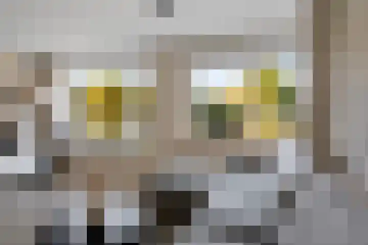 De Fortuin 2 Harlingen thumbnail 18