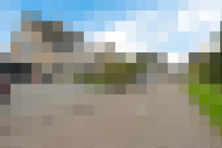 De Fortuin 2 Harlingen foto 2