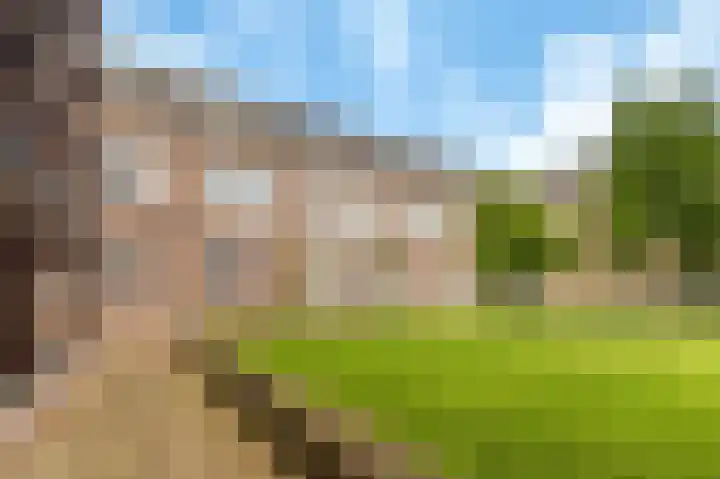 De Fortuin 2 Harlingen thumbnail 27