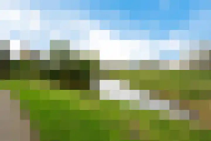 De Fortuin 2 Harlingen foto 3