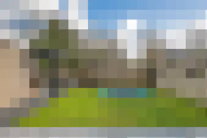 De Fortuin 2 Harlingen thumbnail 38