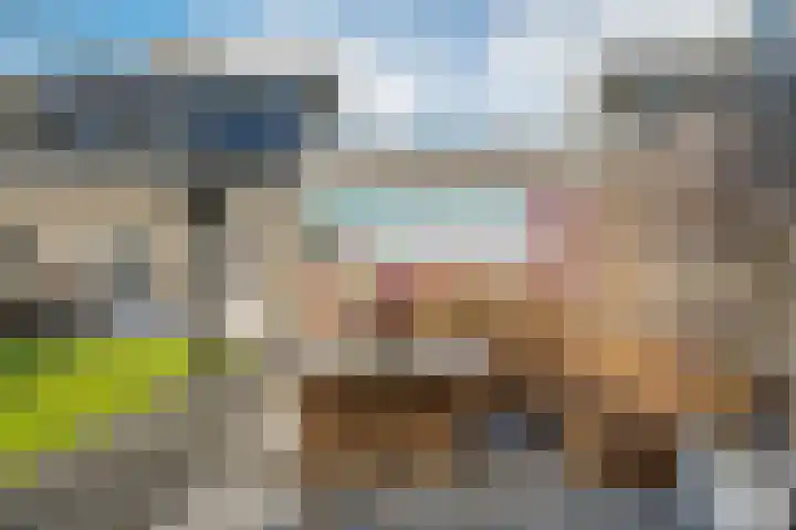 De Fortuin 2 Harlingen thumbnail 39