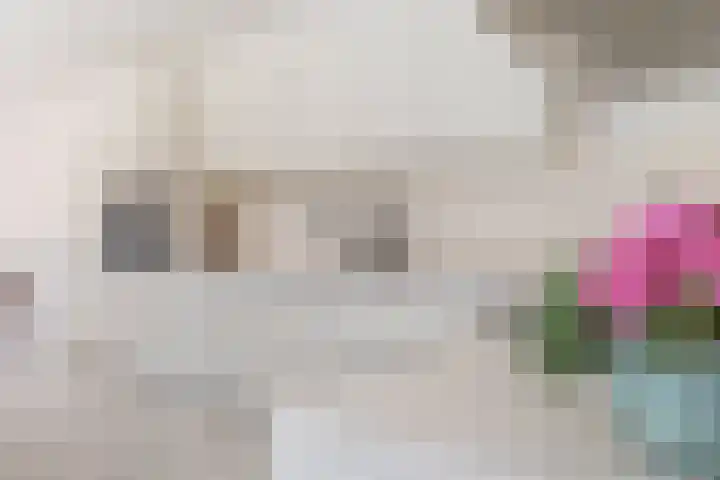 De Fortuin 2 Harlingen thumbnail 41