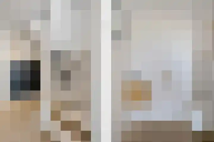 De Fortuin 2 Harlingen thumbnail 41