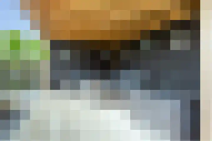 De Fortuin 2 Harlingen thumbnail 9