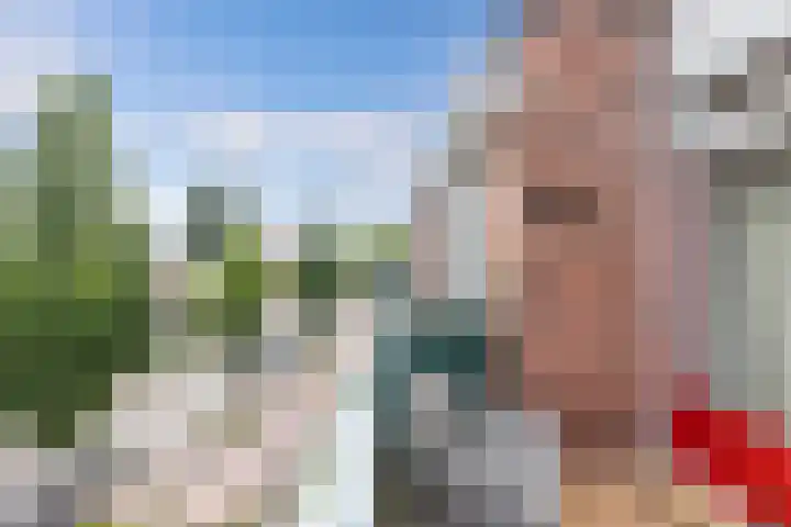 de Fortuin 323 Heerenveen thumbnail 11