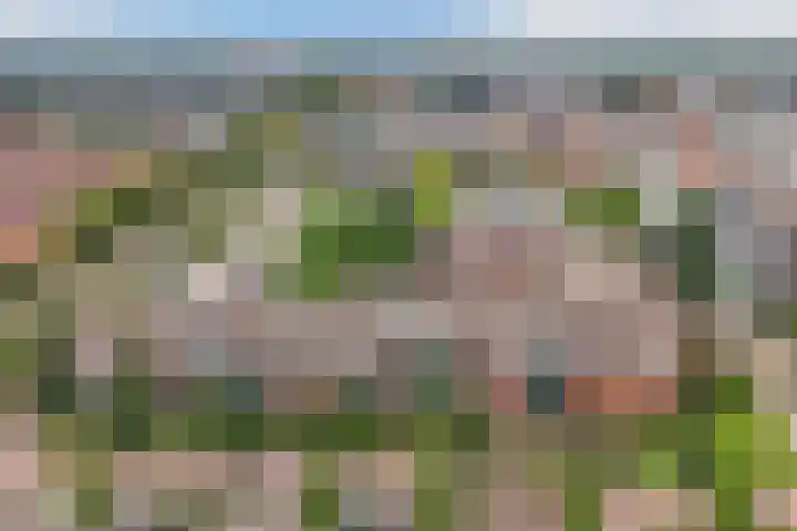 de Fortuin 323 Heerenveen thumbnail 14