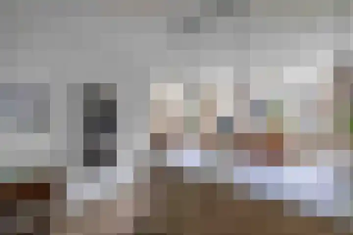 de Fortuin 323 Heerenveen thumbnail 19
