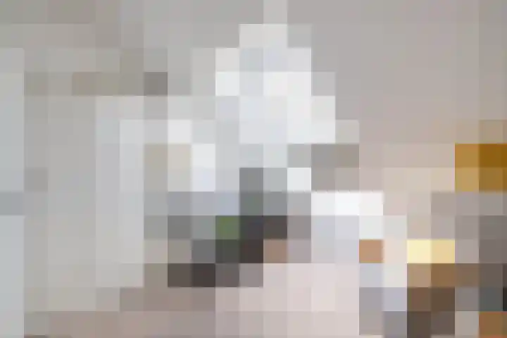 de Fortuin 323 Heerenveen thumbnail 25