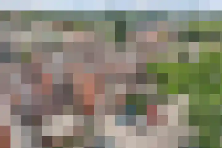 de Fortuin 323 Heerenveen thumbnail 33