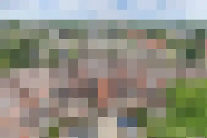 de Fortuin 323 Heerenveen thumbnail 34