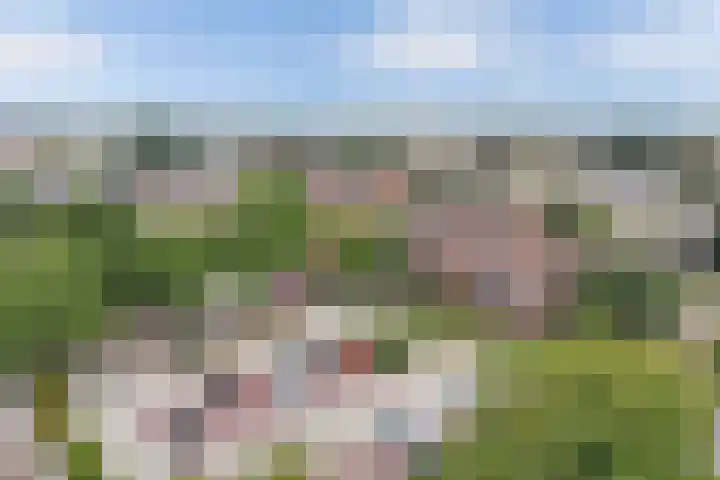 de Fortuin 323 Heerenveen thumbnail 35