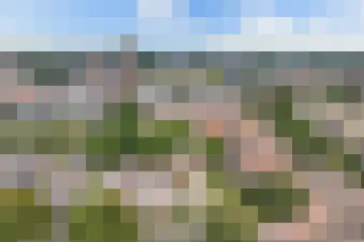 de Fortuin 323 Heerenveen thumbnail 36