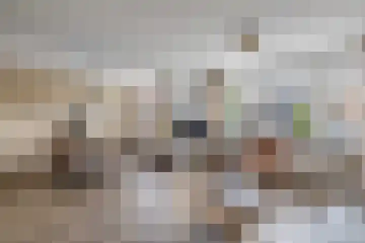de Fortuin 323 Heerenveen thumbnail 7