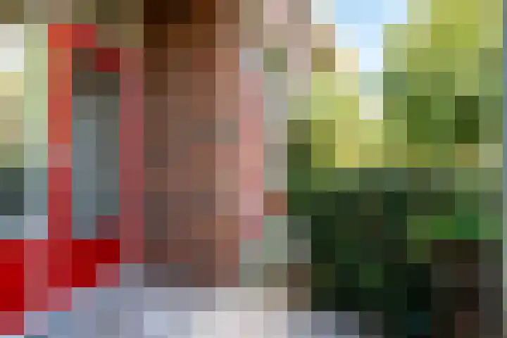 de Fortuin 37 Heerenveen thumbnail 15