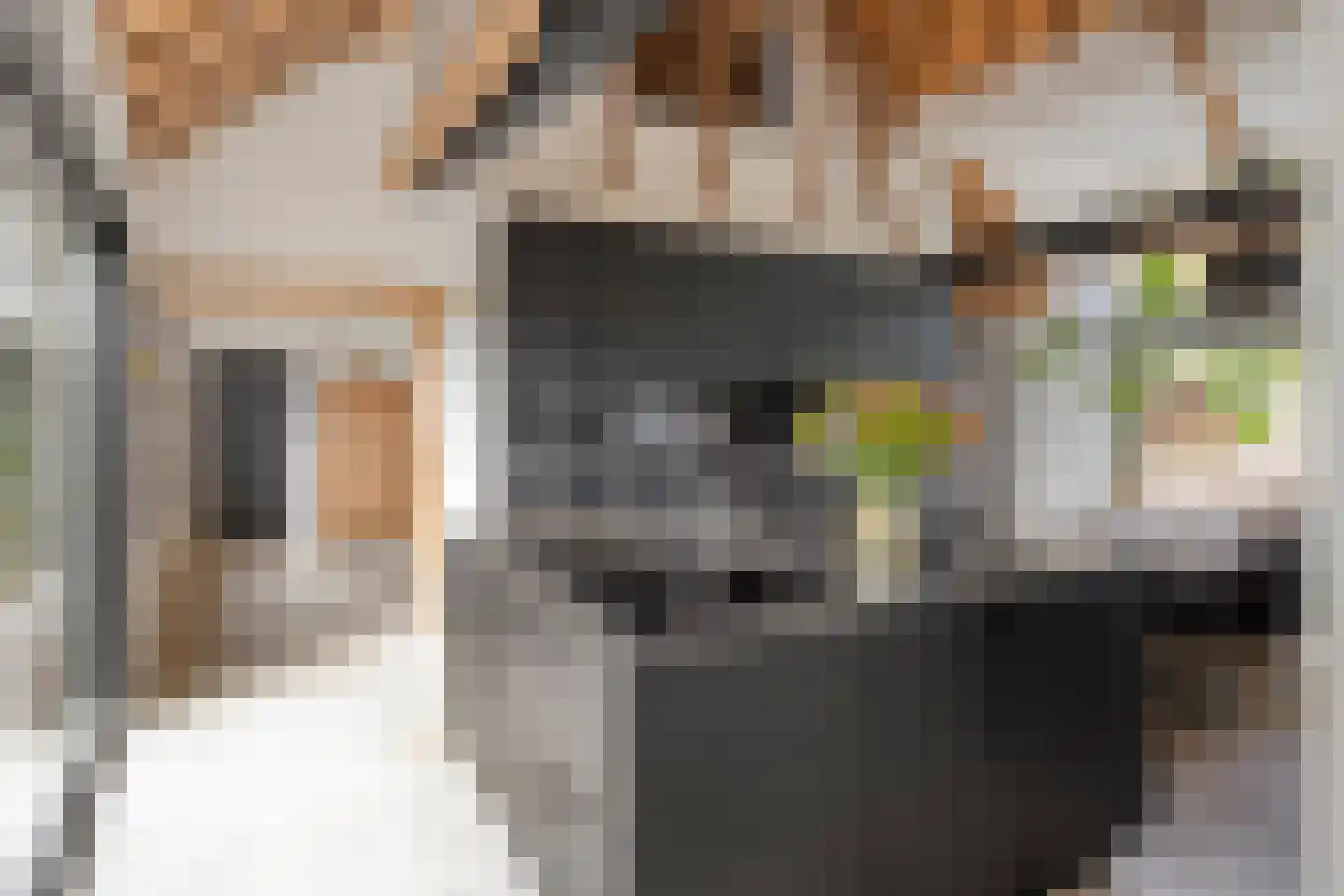 de Fransman 5 Oirschot thumbnail 23