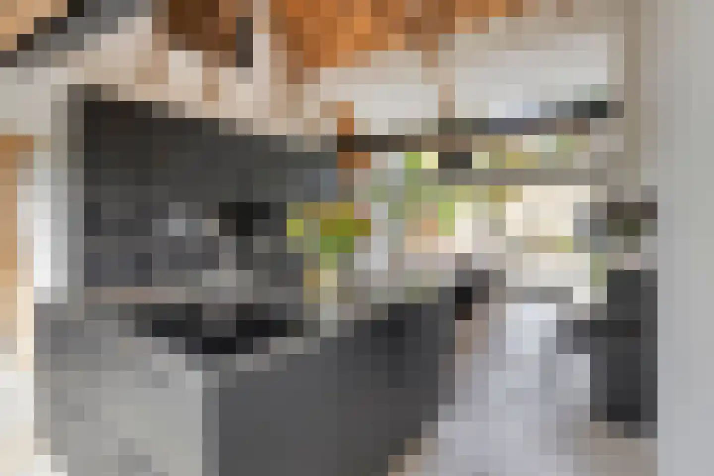 de Fransman 5 Oirschot thumbnail 24