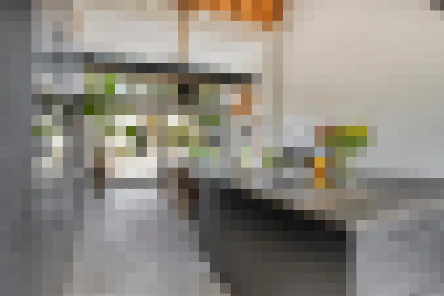 de Fransman 5 Oirschot thumbnail 25
