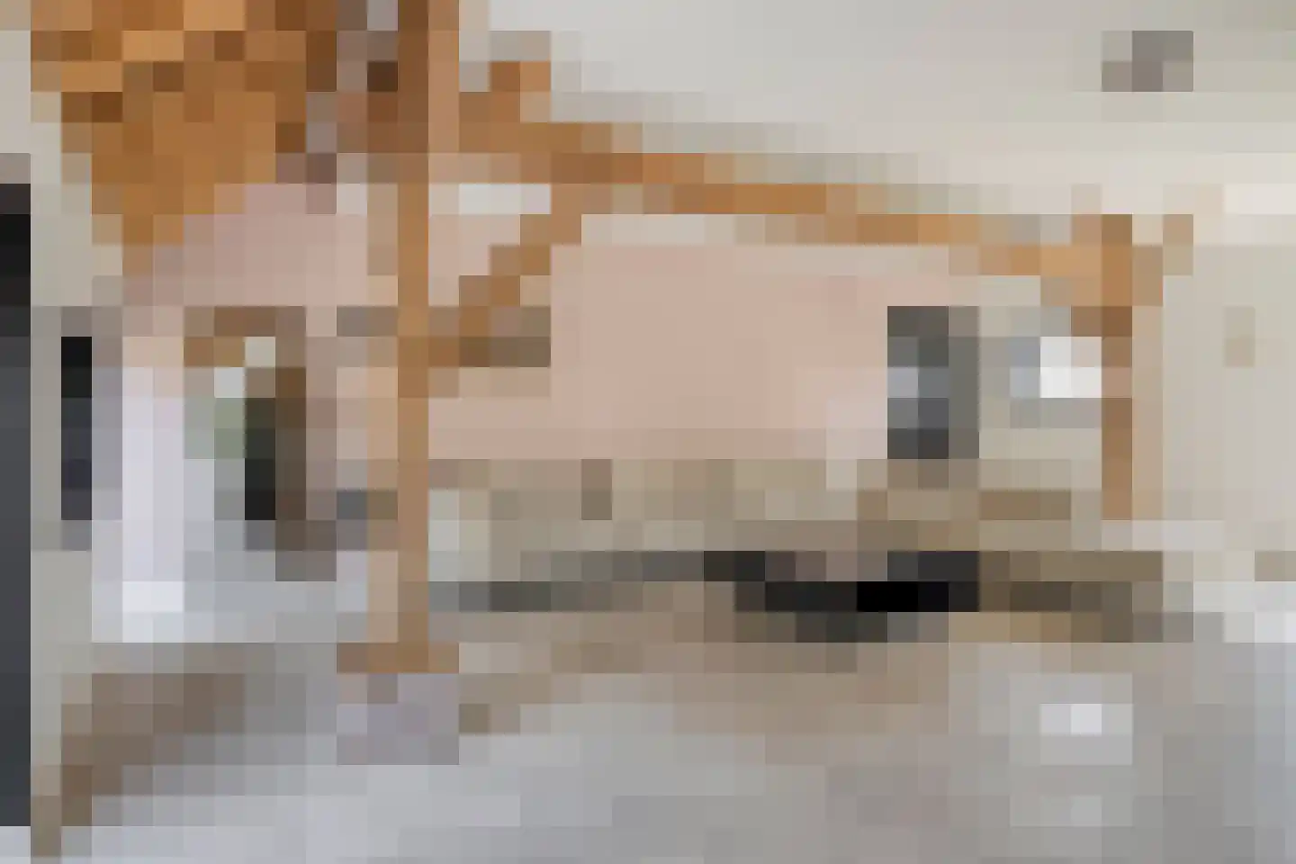 de Fransman 5 Oirschot thumbnail 33