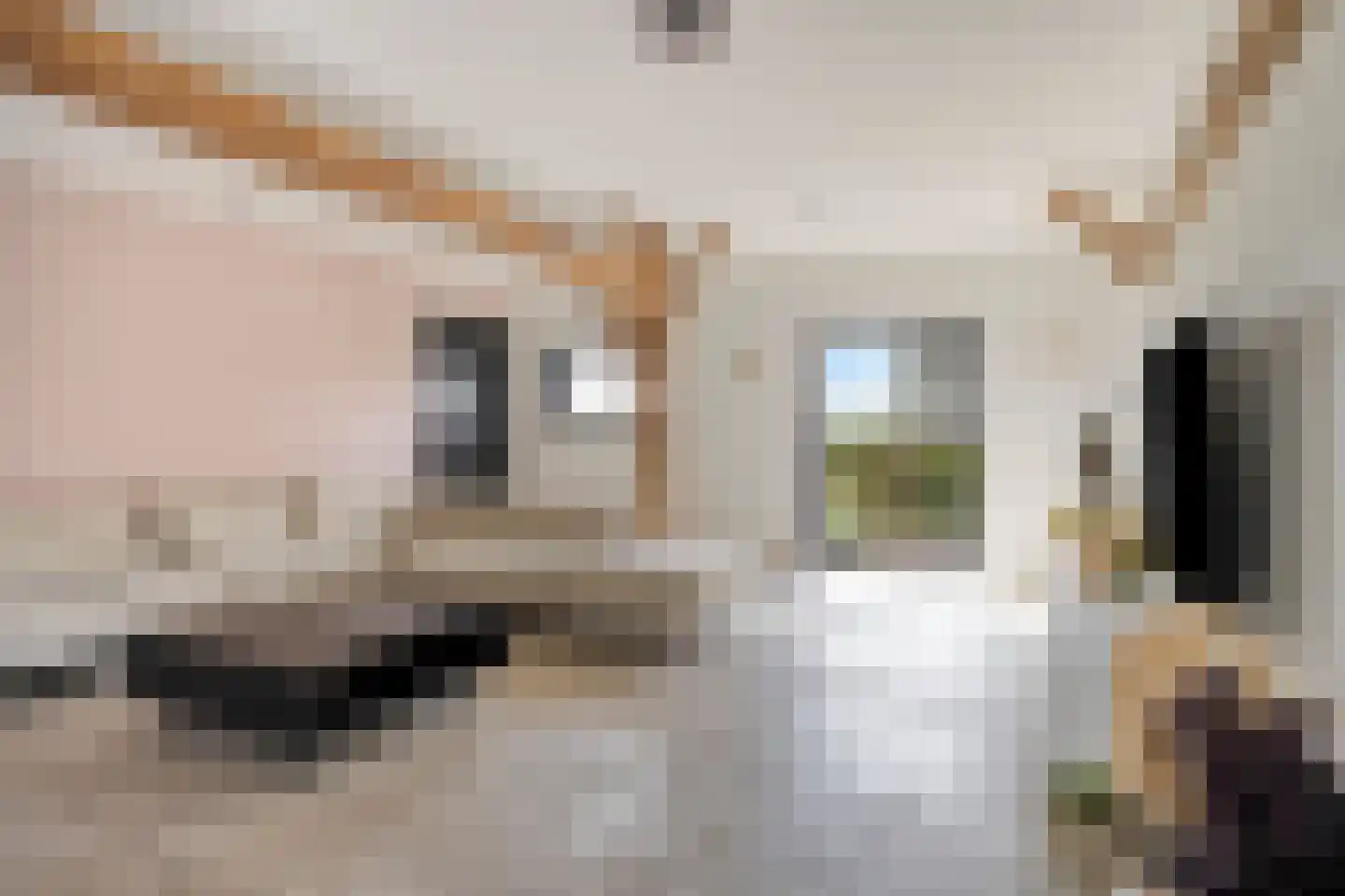 de Fransman 5 Oirschot thumbnail 34