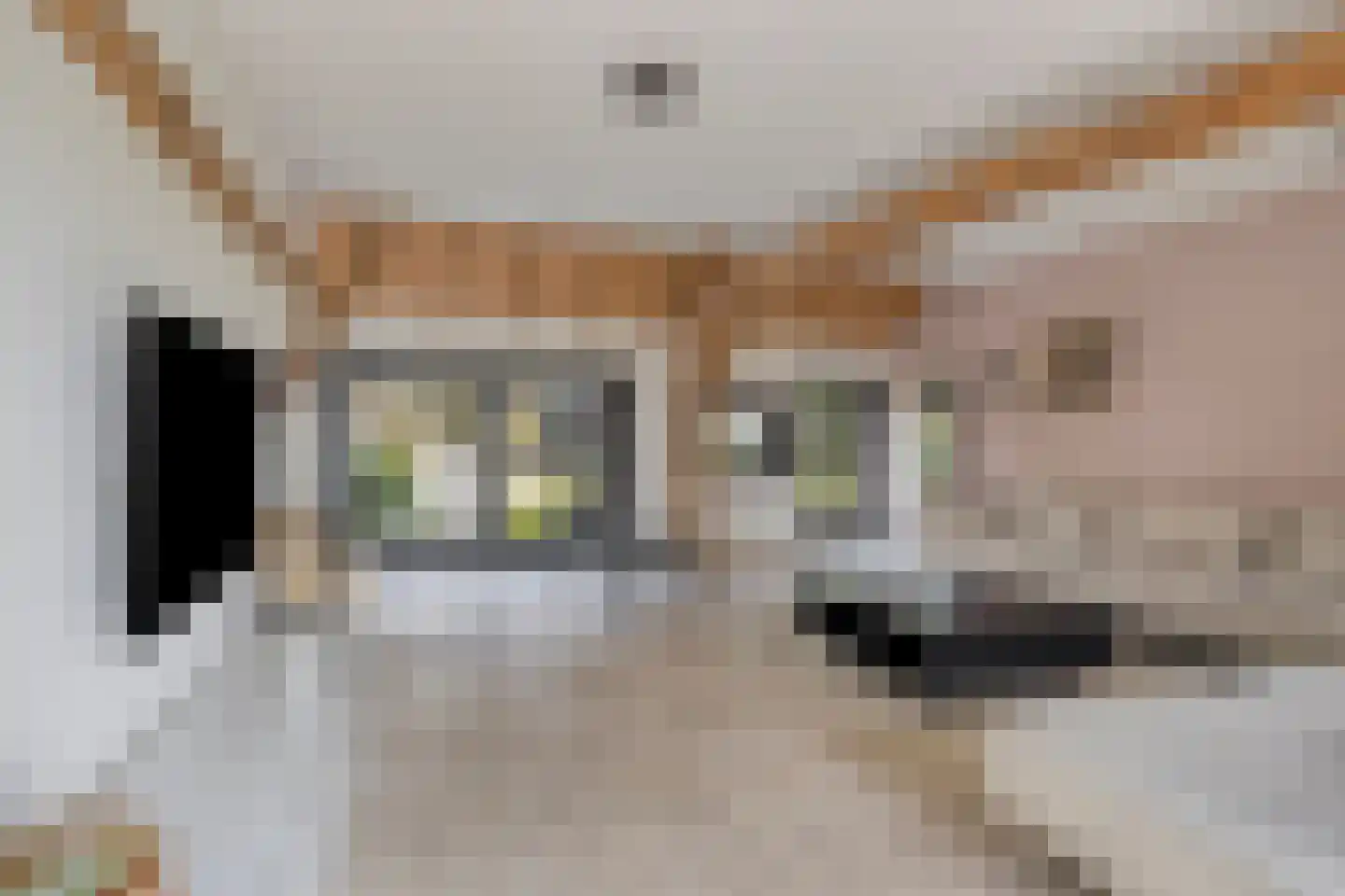 de Fransman 5 Oirschot thumbnail 35