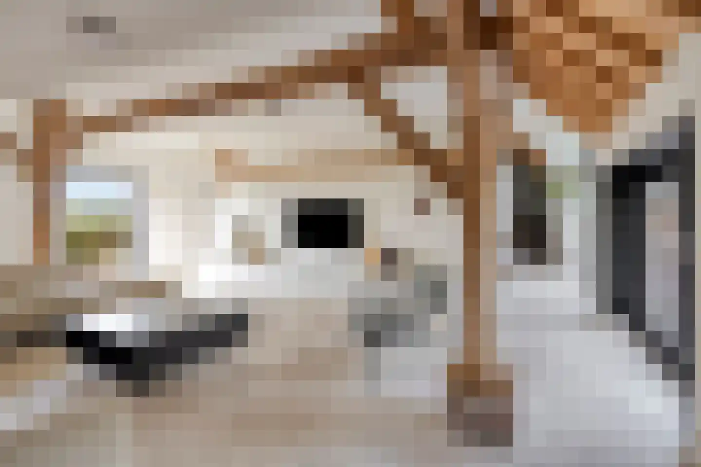 de Fransman 5 Oirschot thumbnail 36