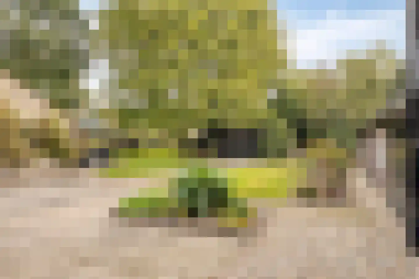 de Fransman 5 Oirschot thumbnail 4